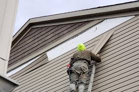 Best Fiber Cement Siding Installation  in Christopher, IL